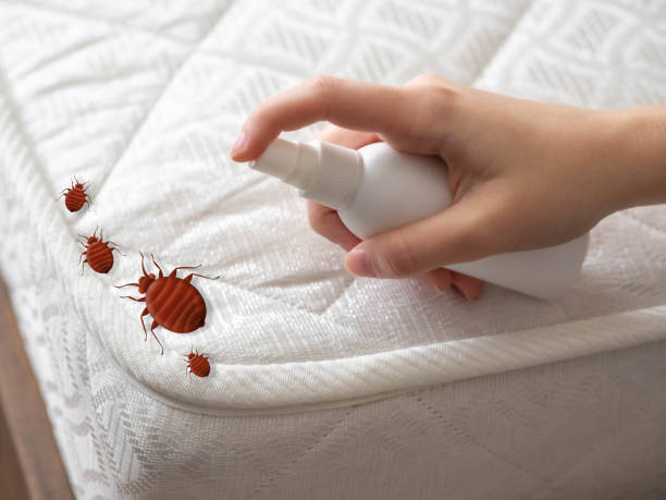 Emergency Pest Control Services in Coldwater, OH